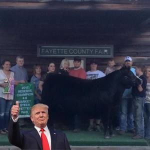 Meet your Posher, Hayden